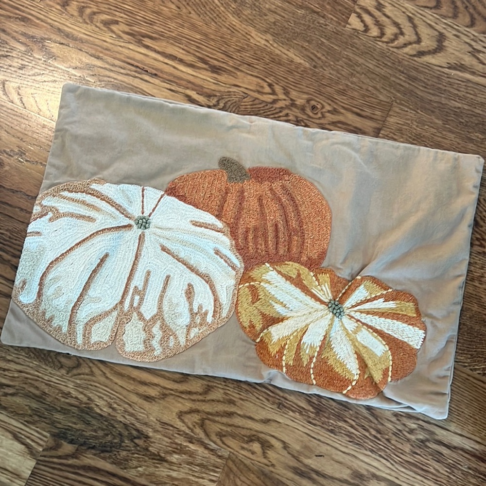 Pottery Barn Pumpkin embroidered pillow cover